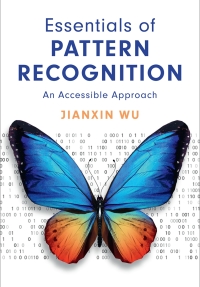 Essentials of Pattern Recognition Ebook
